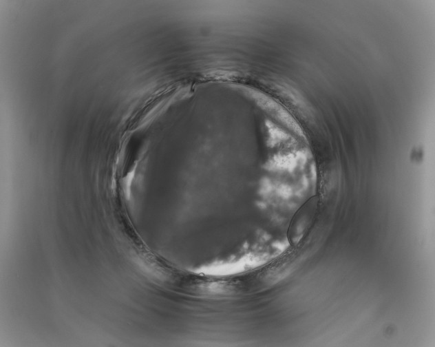 X0000090760365200708172052