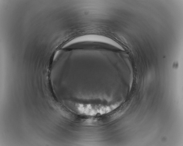 X0000090760366200708172052