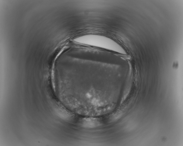 X0000090760367200708172052