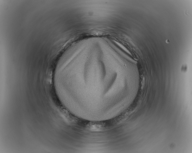 X0000090760368200708172052