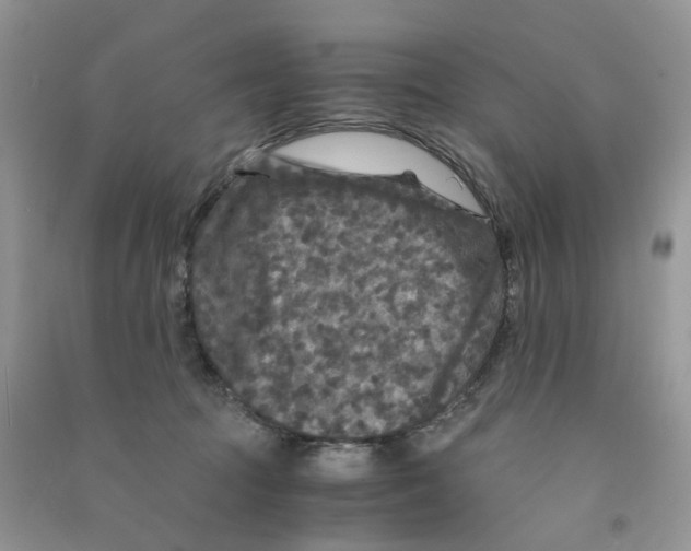 X0000090760369200708172052