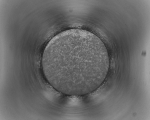 X0000090760370200708172052