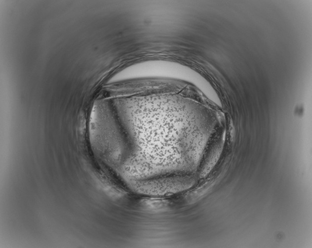 X0000090760372200708172052