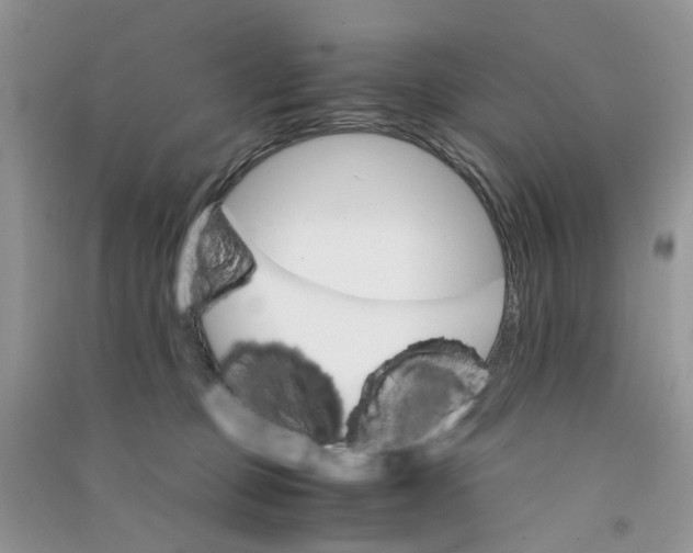 X0000090760373200708172052