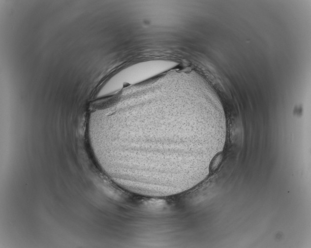 X0000090760374200708172052