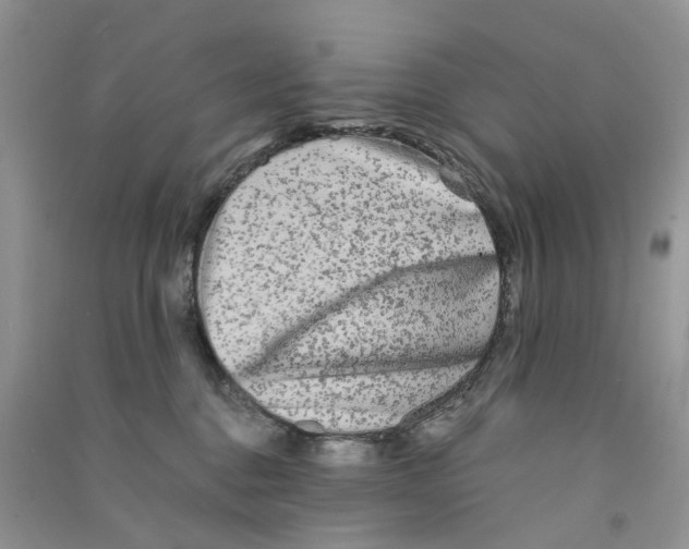 X0000090760376200708172052