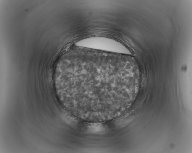 X0000090760377200708172053