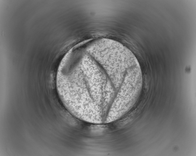 X0000090760378200708172053