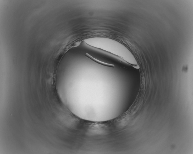 X0000090760379200708172053