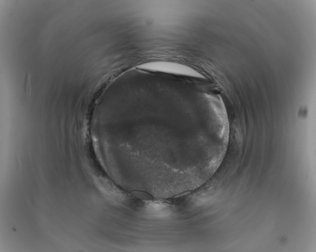 X0000090760380200708172053