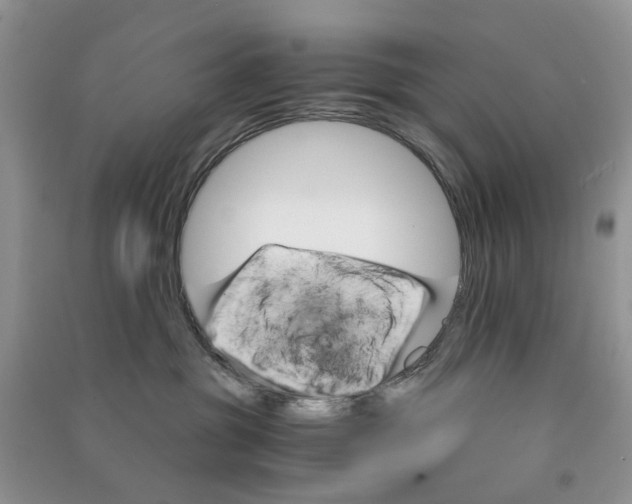 X0000090760381200708172053