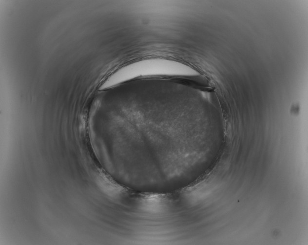 X0000090760382200708172053