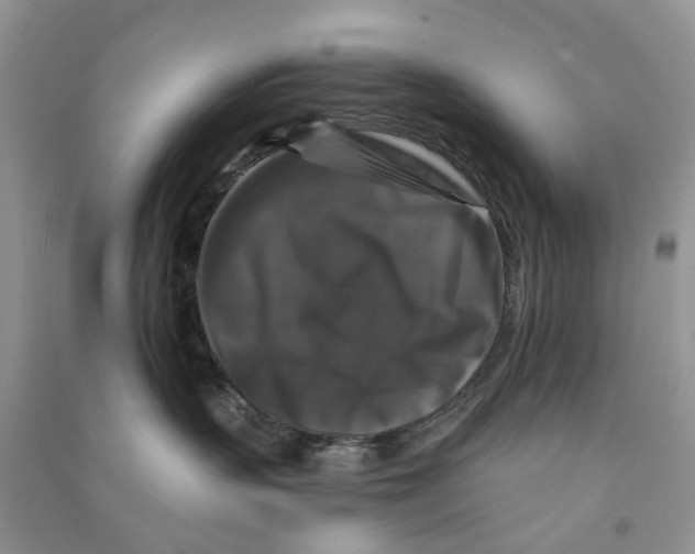 X0000090760383200708172053