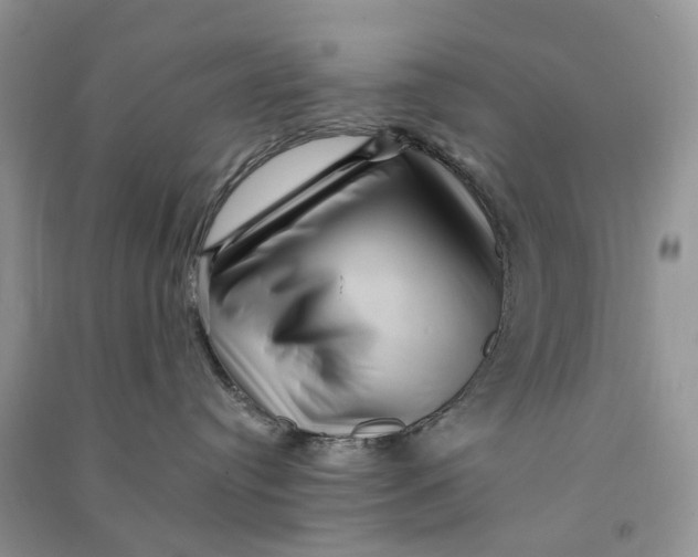 X0000090760384200708172053