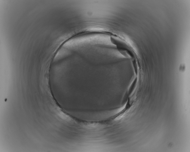 X0000090760385200708172052