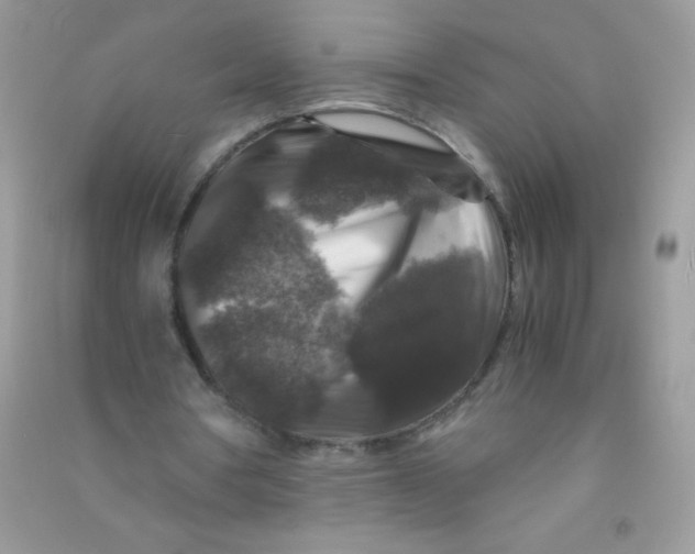 X0000090760386200708172052