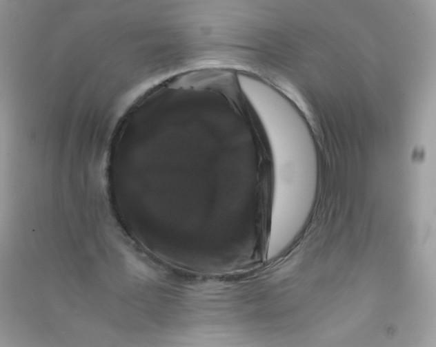 X0000090760387200708172052