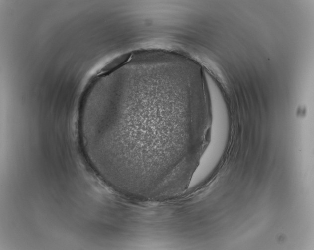 X0000090760388200708172052