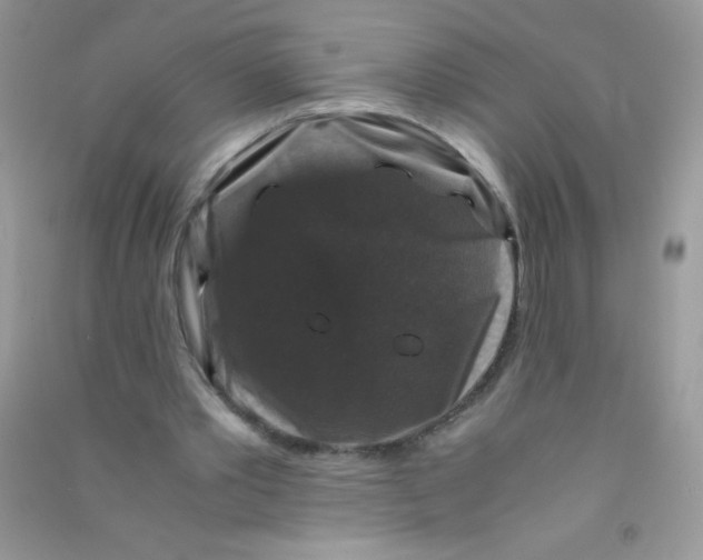 X0000090760389200708172052