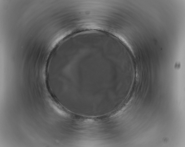 X0000090760390200708172052