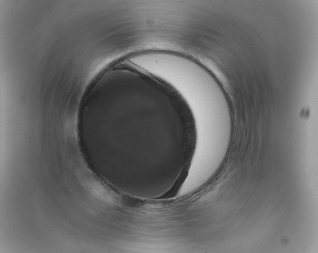 X0000090760391200708172052