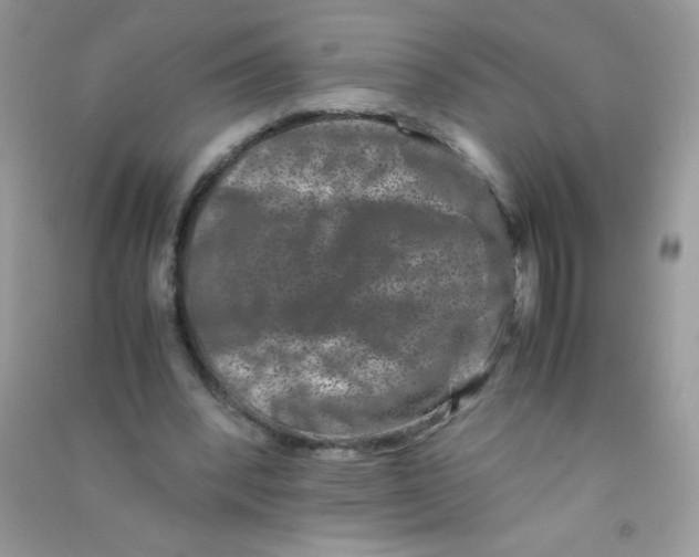 X0000090760392200708172052