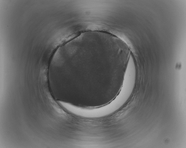 X0000090760393200708172052