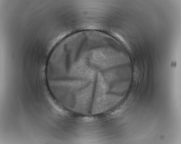 X0000090760394200708172052