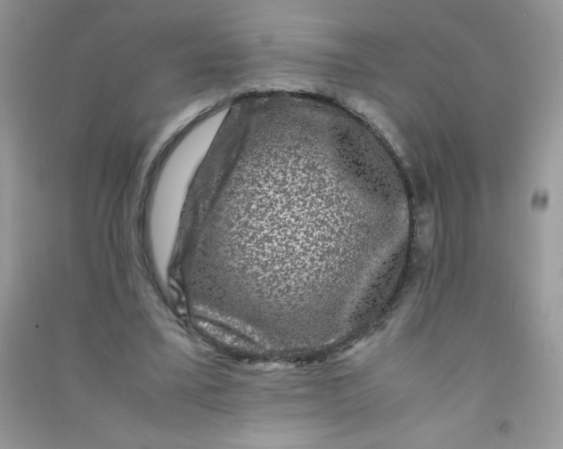 X0000090760395200708172052