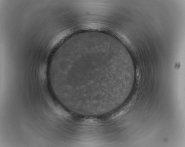 X0000090760396200708172052