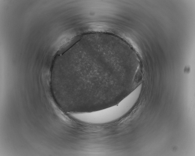 X0000090760397200708172052