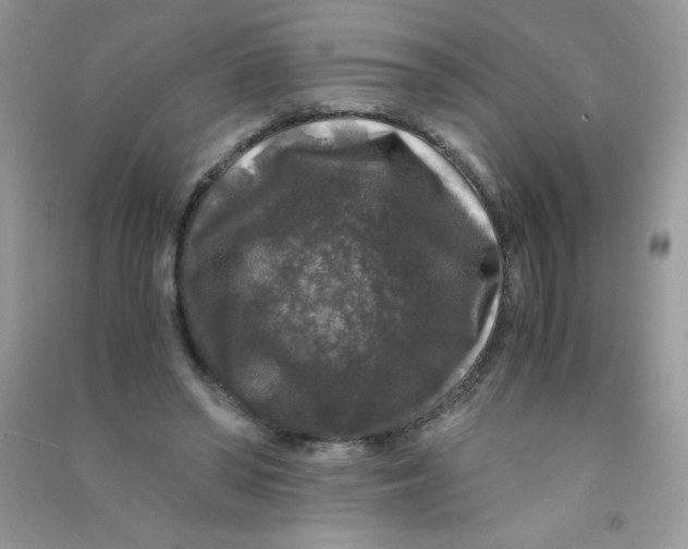 X0000090760398200708172052