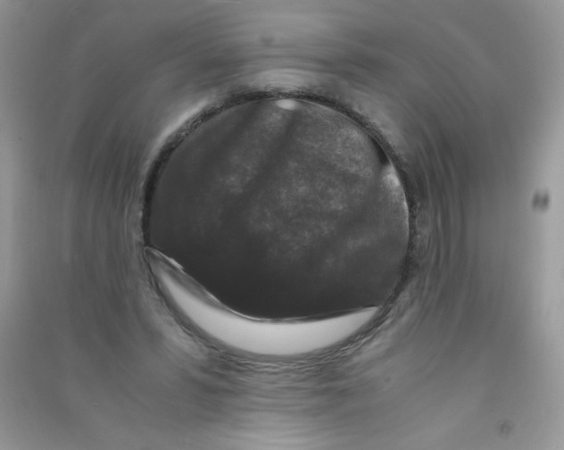 X0000090760399200708172052