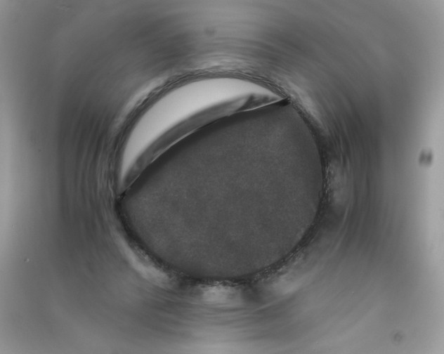 X0000090760400200708172052