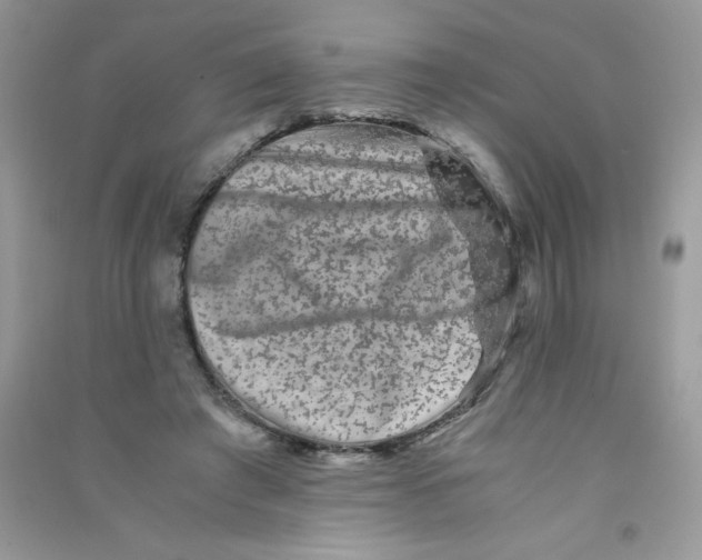 X0000090760401200708172052