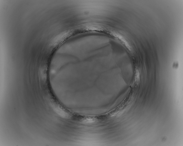 X0000090760402200708172052