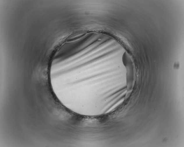 X0000090760403200708172052