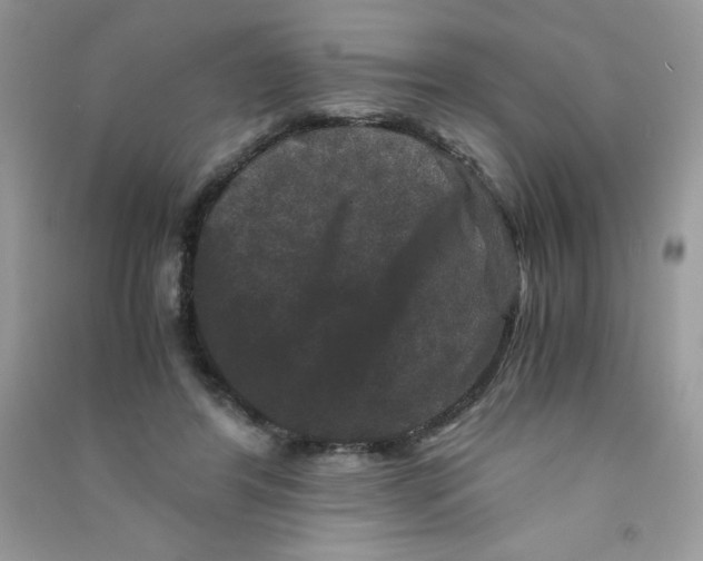 X0000090760404200708172052