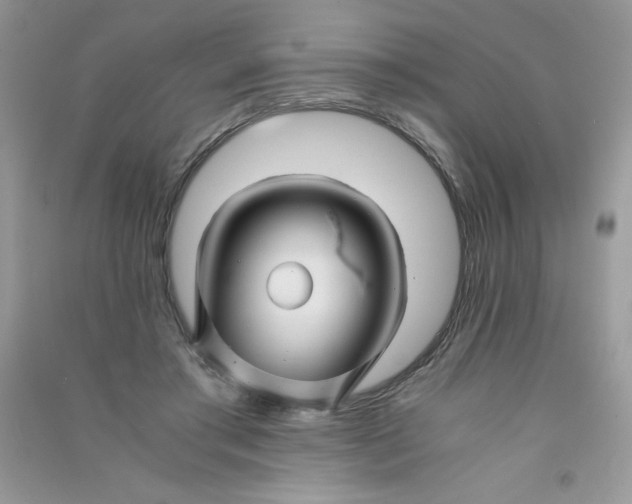 X0000090760405200708172052