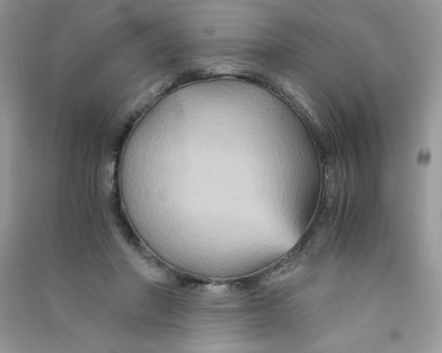 X0000090760406200708172052