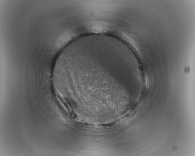 X0000090760407200708172052