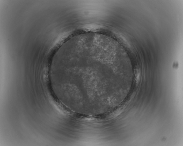 X0000090760408200708172052