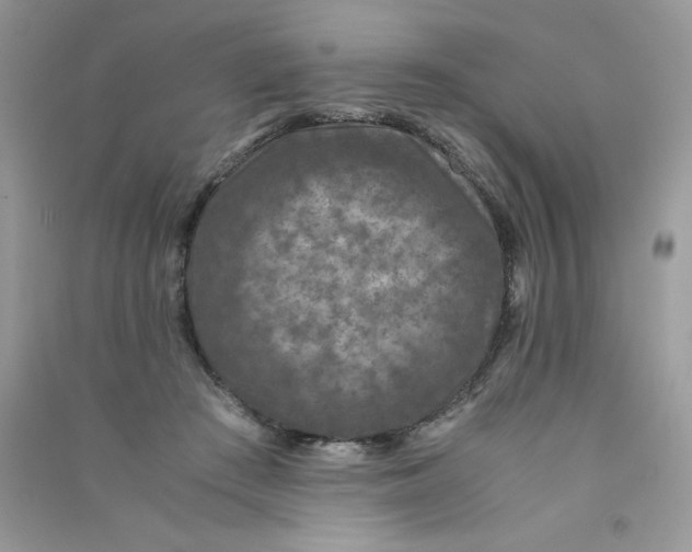 X0000090760409200708172052