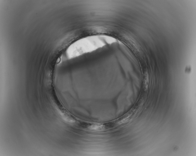 X0000090760410200708172052