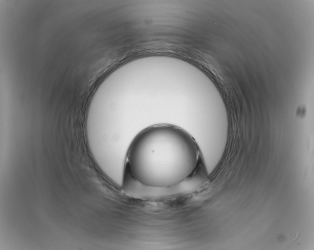 X0000090760411200708172052