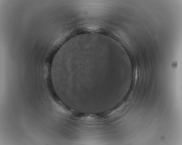 X0000090760412200708172052