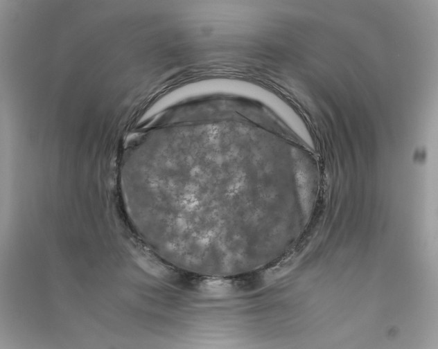 X0000090760413200708172052