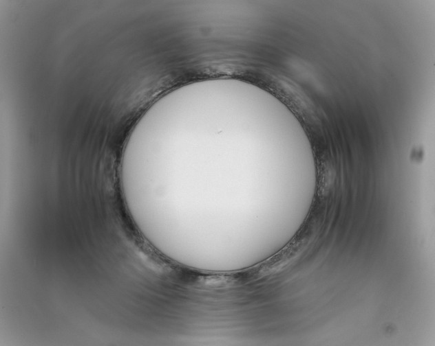 X0000090760414200708172052