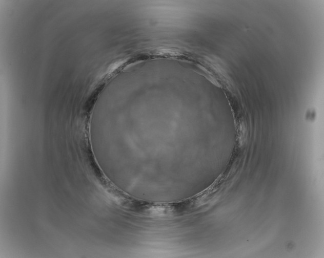 X0000090760415200708172052