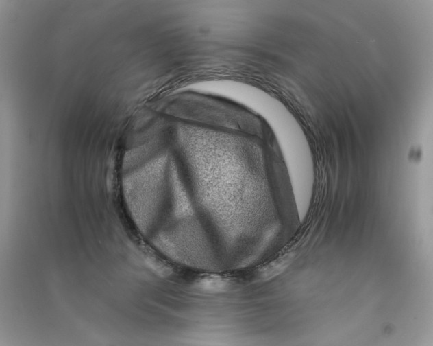 X0000090760416200708172052